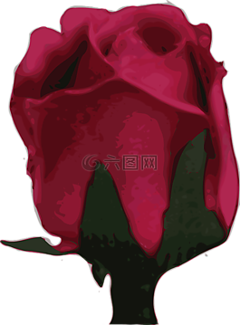 玫瑰,花,紅色