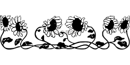 边境,鲜花,花的