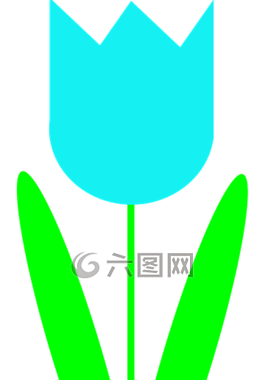 花,郁金香,藍(lán)色