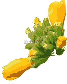 鮮花,黃色,植物