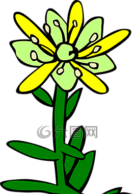 花,植物,自然
