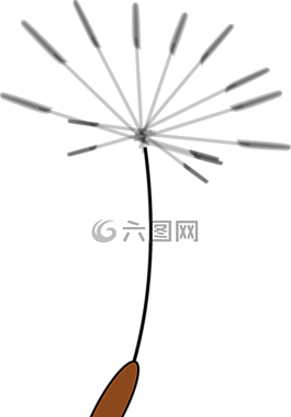 飞行,种子,蒲公英