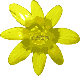 花,黃色,光明