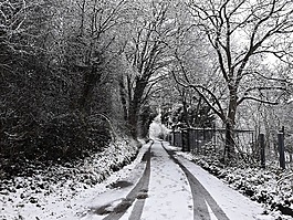 冬季,雪,方式