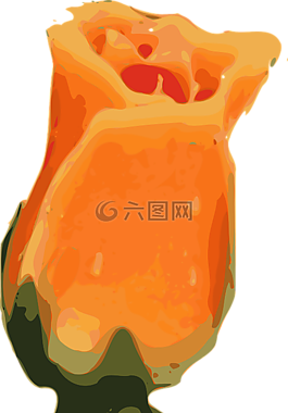 花,橙色,開花