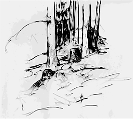 森林,樹(shù),伍茲
