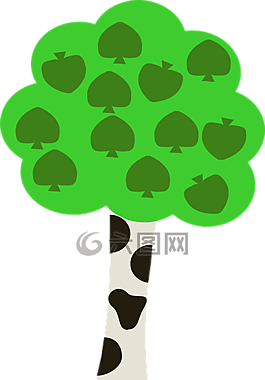 樺木,樹,硬木