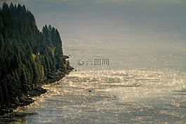 波,岸,海