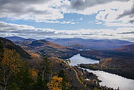 荒野,森林,湖