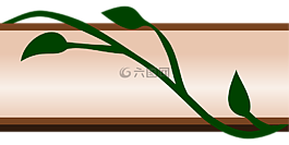 边境,常春藤,花的
