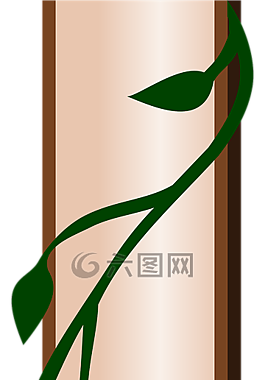 边境,藤,常春藤