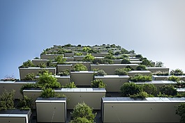 陽臺,建設,庭院植物