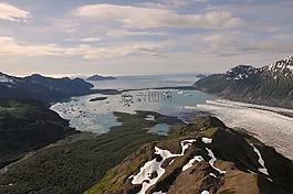 冰川熊,景觀,海洋