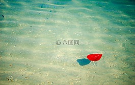 海灘,落葉,象島