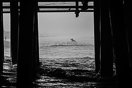 碼頭,沖浪,沖浪板
