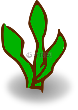 植物,草,綠色