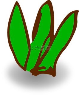 草,春,夏天
