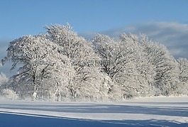 冬天,寒冬,雪