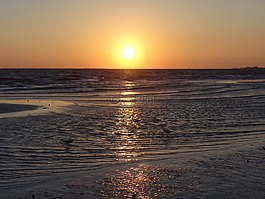 日落,海洋,夏天