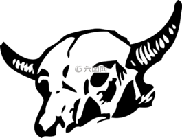 頭骨,骨骼,死亡
