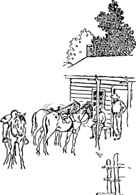 馬,農民,農場