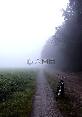 徑,景觀,霧