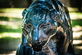 雕像,美洲獅,公園