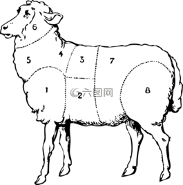 羊肉,肉,分类