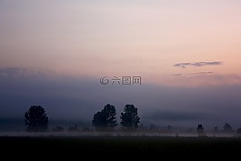 樹,霧,草甸