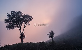 薩霸,善后工作,安沛