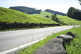 路,仙客來,傳遞路
