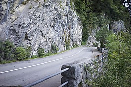 路,仙客來,傳遞路