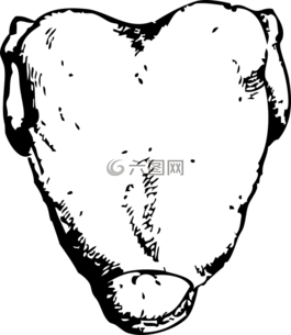 雞,鳥,肉