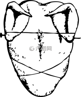 雞,母雞,家禽