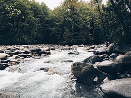 河,洛基,森林