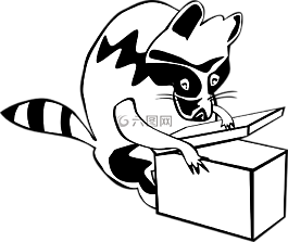 浣熊,盒,動物