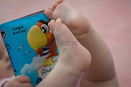 寶寶,書,腿