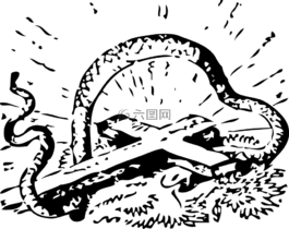 交叉,蛇,爬行動物