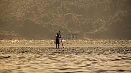 槳板,海,夏天