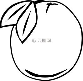 柑橘,水果,黑色和白色