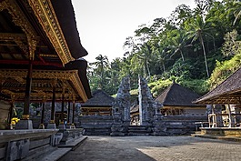 寺,木屋,棕櫚樹