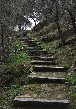 樓梯,森林,性質(zhì)