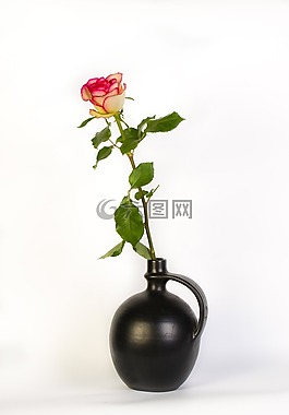 羅莎,花瓶,花
