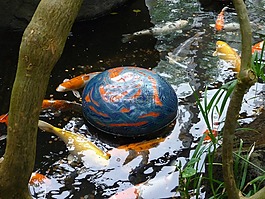 锦鲤,胡利,玻璃