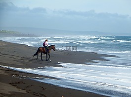 太平洋,海灘,砂