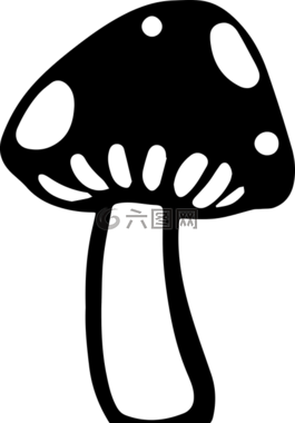 蘑菇,真菌,菌類
