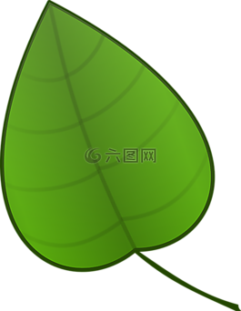 葉,綠色,植物
