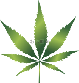 大麻,療效,剪出