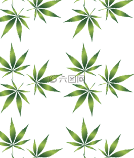 大麻,療效,剪出