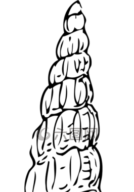 蝸牛,外殼,海